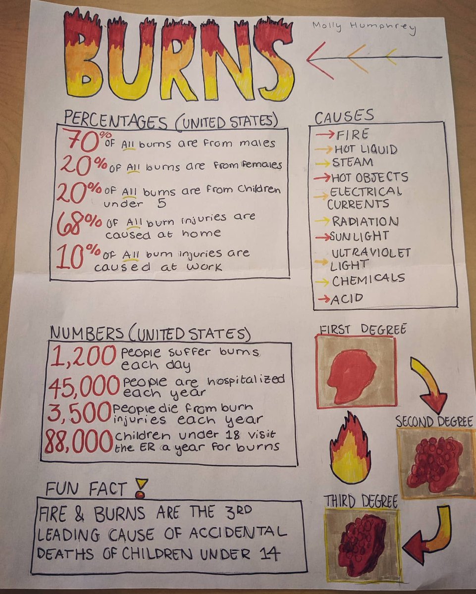 coulsonscience's tweet photo. My students have been crafting some greatness on our journey to mastering topics like biodiversity in coral reefs poster in enviro-sci, anatomy infographic for burns, and understanding bacteriophages foldable in our epidemiology unit in Bio2 II! #creativelearning #showwhatyouknow https://t.co/GKjpM5CIAN