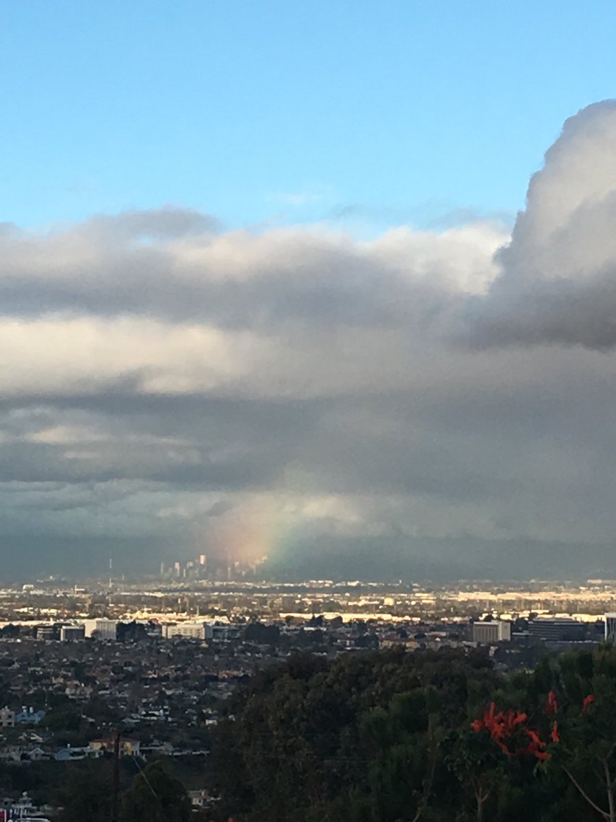 Elizabeth Spatz tweet media