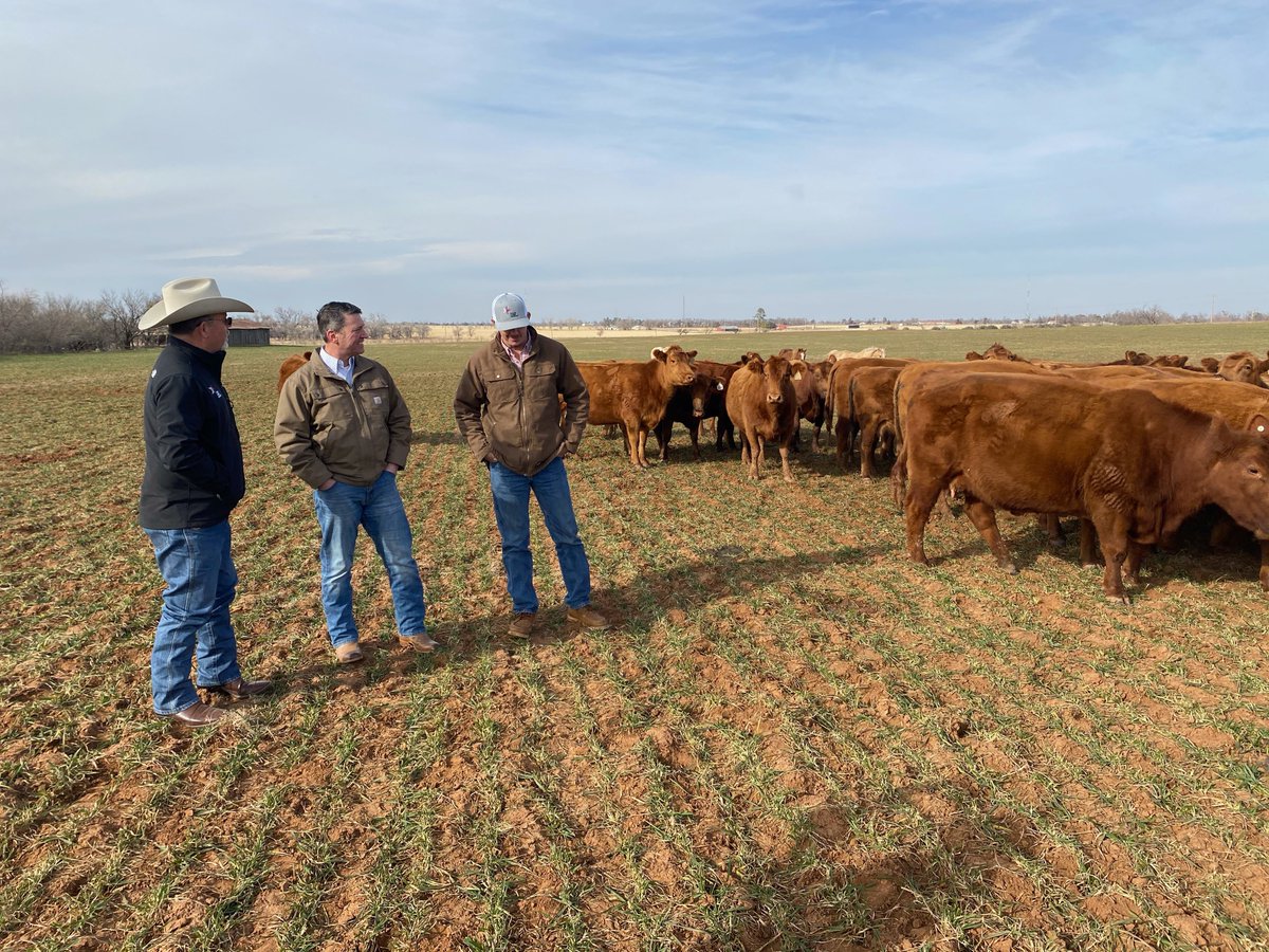 RepRonnyJackson's tweet image. The Biden Administration has cut off funding for the Coronavirus Food Assistance Program with NO explanation.

This funding is vital to the farmers and ranchers in #TX13.

@POTUS needs to answer for this and get those payments back up and running — NOW!