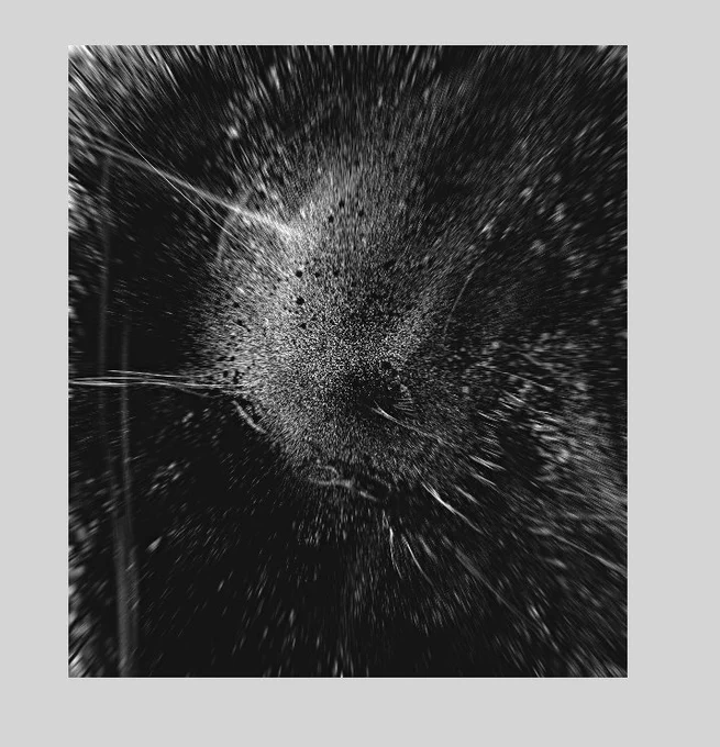 Capa de disco de banda ruim 