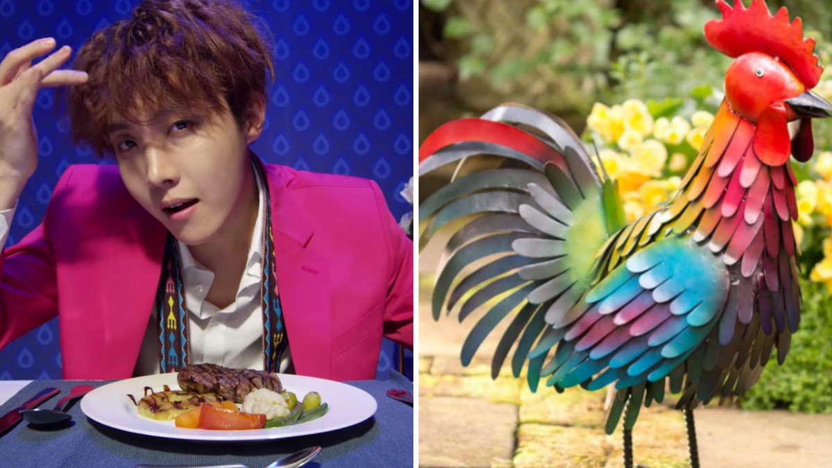 Hoseok: A colorful chicken.