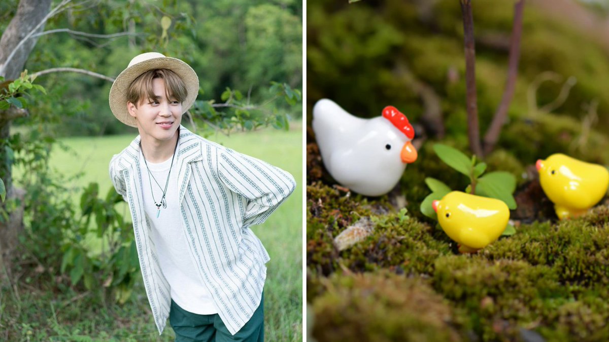 Jimin: "Chicks are cute."