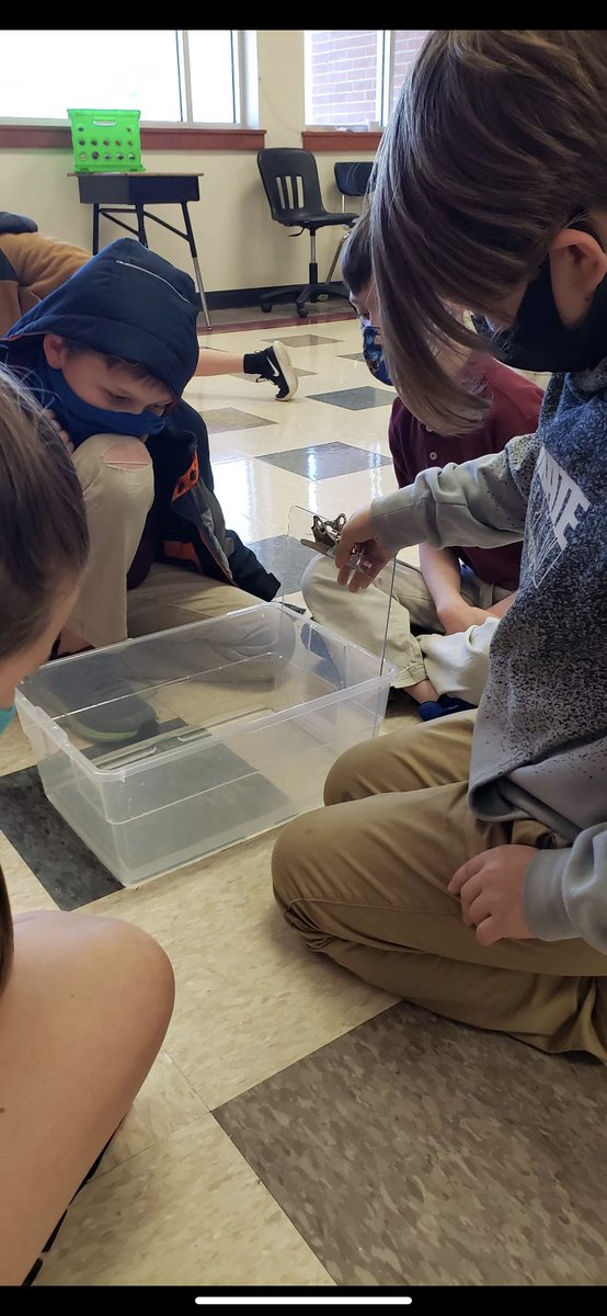 ScienceTeach83's tweet photo. Mrs. Lavergne’s young scientists are taking ownership of their learning and becoming more skilled at recording qualitative observations. They are quite impressive! 👨🏽🔬 👩🏼🔬 🧬 🧪
#PhDScience #CentralScience
@CentralCSS https://t.co/Z4dKGwHtBJ