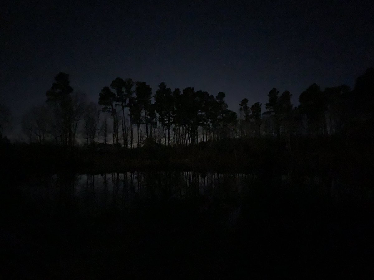 juliacrabtree17's tweet photo. Stargazing rn. Forgot how good it feels to be so small. #cor424 #eloned https://t.co/Am29ebLppG