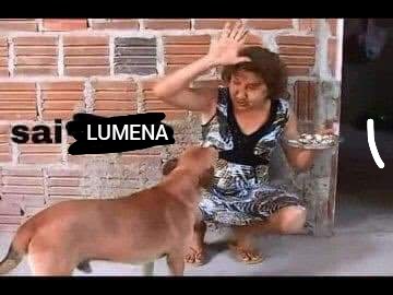 scaresfrog's tweet photo. nossa nao vejo a hora da lumena sair
chata pra caralho https://t.co/YgRjH2CAnL