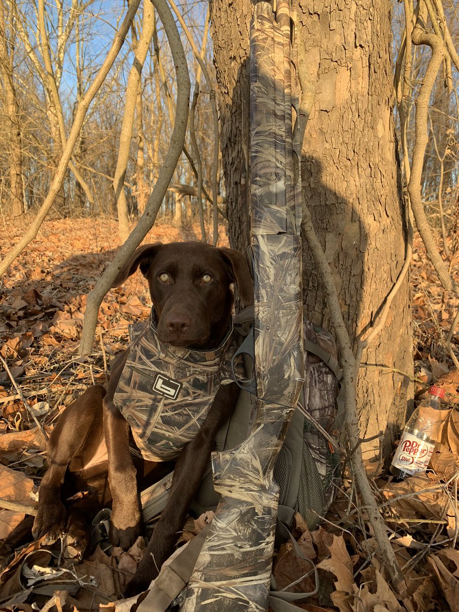 clintbacchus's tweet photo. What a sunrise this morning!!  Bleu Girl is slowly getting the hang of it. https://t.co/08uLs6I2EH
