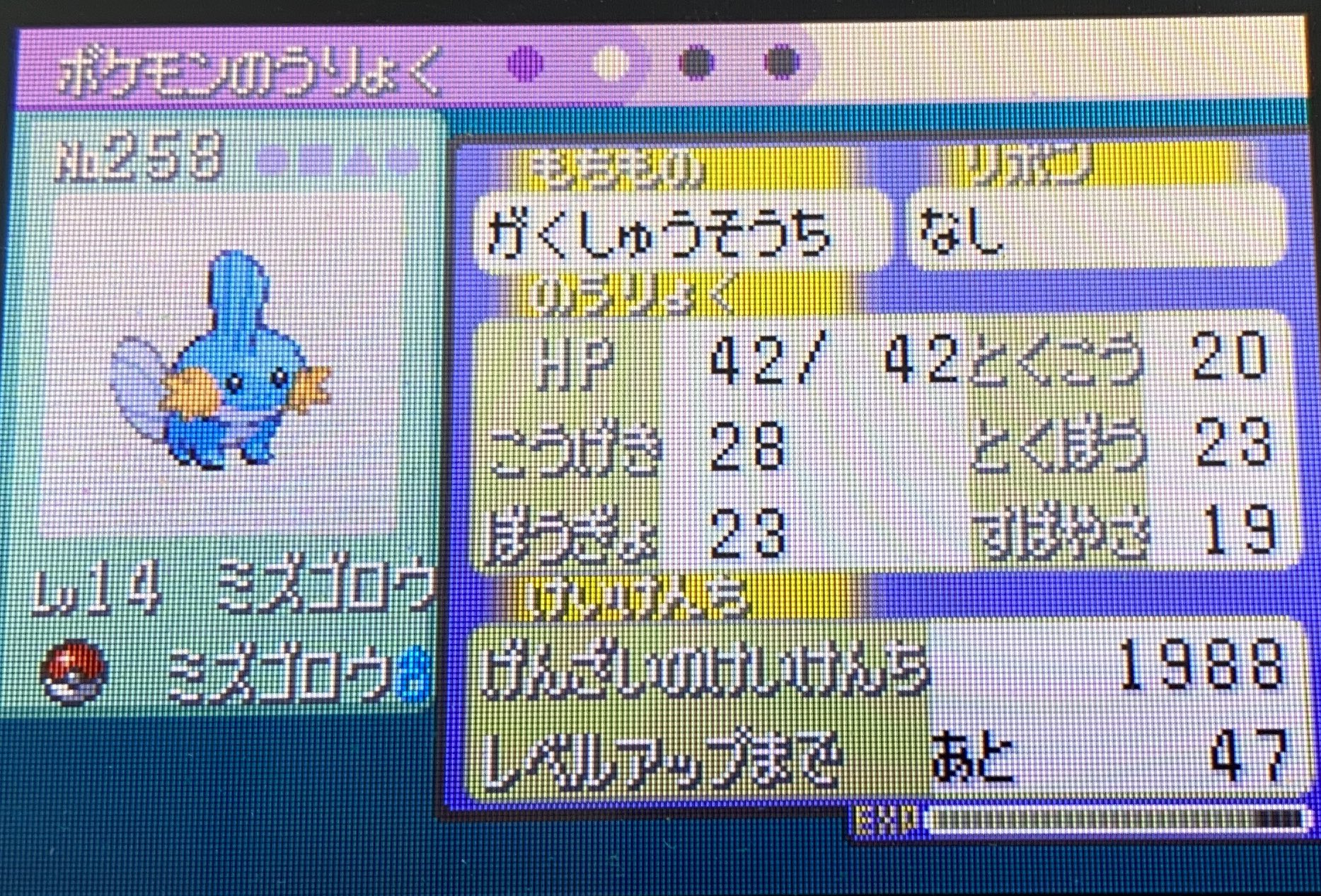 Takagi ポケモンエメラルド バトルフロンティア バトルタワー 育て屋で少しレベル上げしてから個体値チェックしてみたら 特攻低くて他が高い超優秀個体だったw Takagi ポケモンエメラルド バトルフロンティア バトルタワー 育て屋で少しレベル上げしてから個体値チェックしてみたら 特攻低くて他が高い超優秀個体だったw