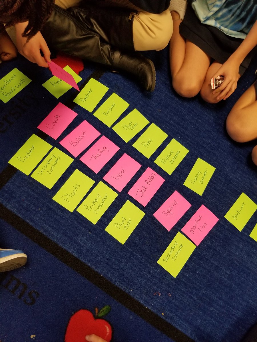SamROrtiz22's tweet photo. Collaborating on food webs for an ocean and forest ecosystem 🕸
#ecosystems 
#foodweb
#langtreemade2021
#5thgrade 
#weareroaring 
#scienceisfun https://t.co/h9XhXzChJQ