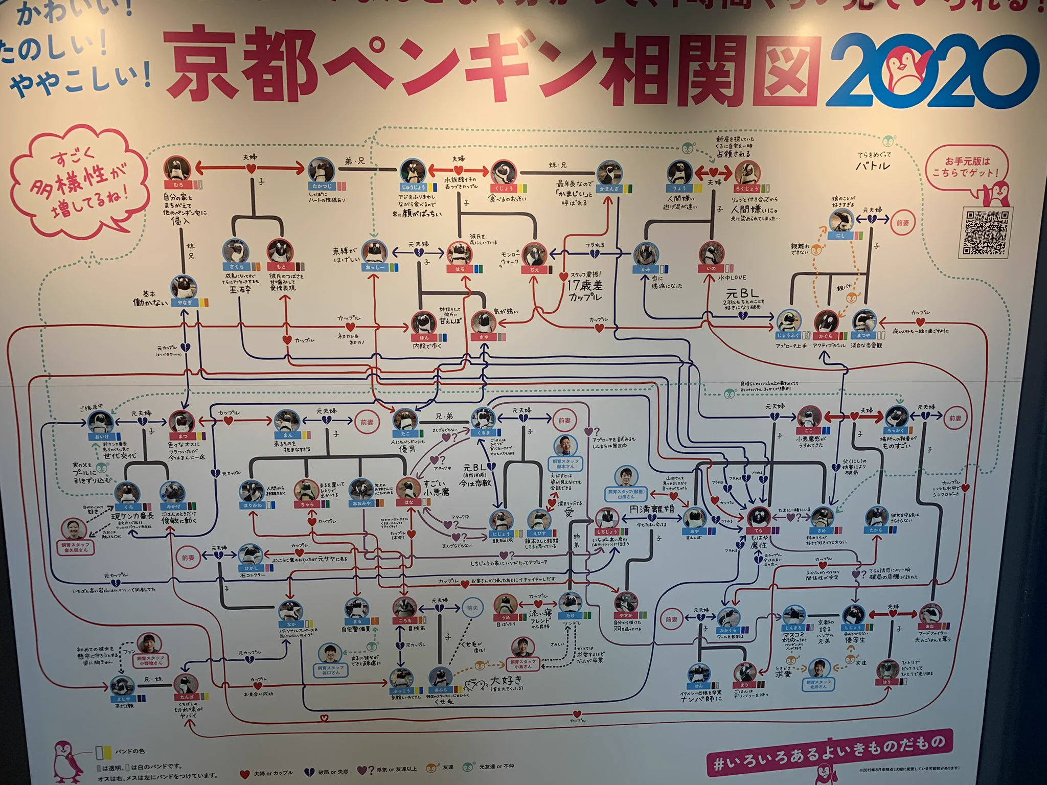 @Kyoto_Aquarium ( ﾟдﾟ)ﾊｯ!
新しくなった 