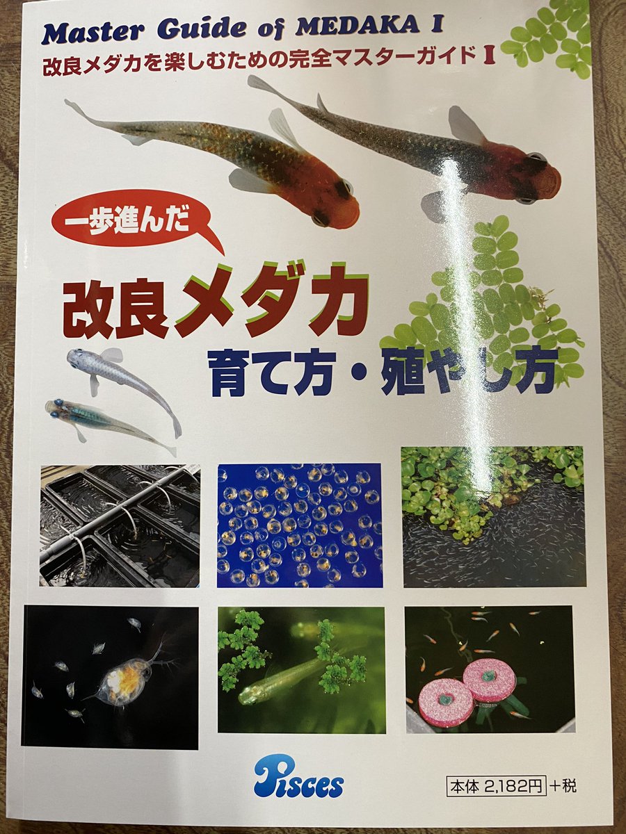 上州めだか ピーシーズ様の本の表紙に上州めだかの煌ラメ使っていただきました 上州めだか ピーシーズ様の本の表紙に上州めだかの煌ラメ使っていただきました
