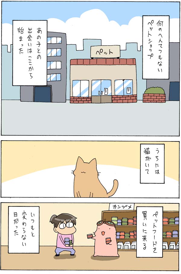 今日から連載してゆきます。

老猫と子猫が一緒に暮らしたら①
https://t.co/9QV4FAp4Kv 