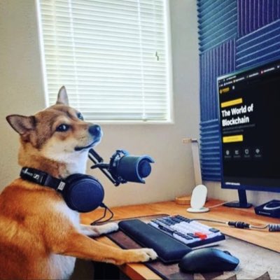 EduCFSilva1's tweet photo. #NovaFotoDoPerfil
#dogecoin #DogecoinToTheMoon https://t.co/dlKicLPDaD