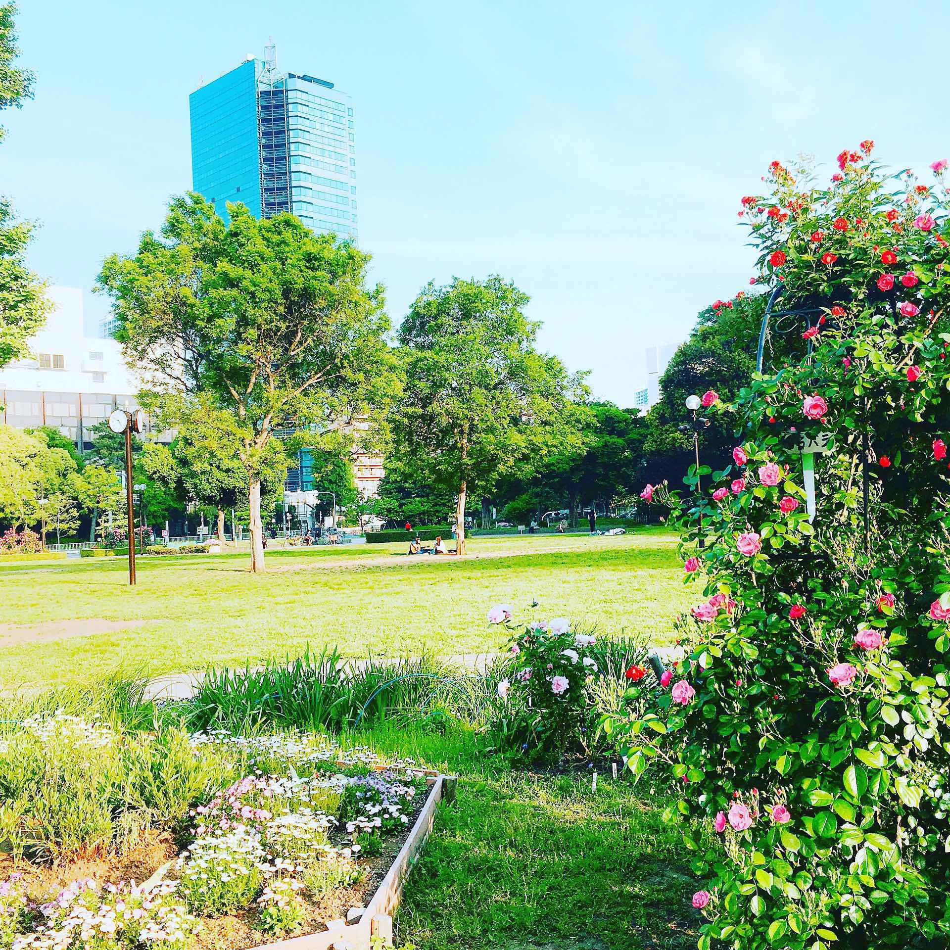 芝公園カフェ Twitter Search Twitter