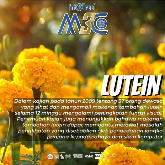 nooryus's tweet photo. LUTEIN MEMBANTU DALAM PENINGKATAN TAHAP FOKUS MATA ANDA
.
#M3C mengandungi Lutein yang dapat membantu dari segi penglihatan seseorang.
.
Sila hubungi Noorasidah Abd Rahman at https://t.co/i2ZfKlKTHE untuk maklumat lanjut. https://t.co/ybFNWYfaMc