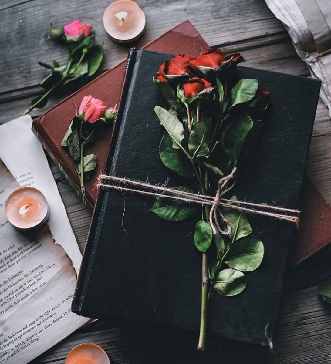 ~
الكلام..من أعظم ماتداوله البشر.
إنه العُملة المُتاحة دوماً،والرائجة على مَر 
العصور.من يرغب بأن يكون صامتاً دوماً؟!
من يقدِر أن يُكمم فاه الأفكار 
عندما يمتلئ العقل بها،ستكون مثل الطوفان
إنها ستنهمر صامتة.. وتُغرِق الورق..🕊🍃