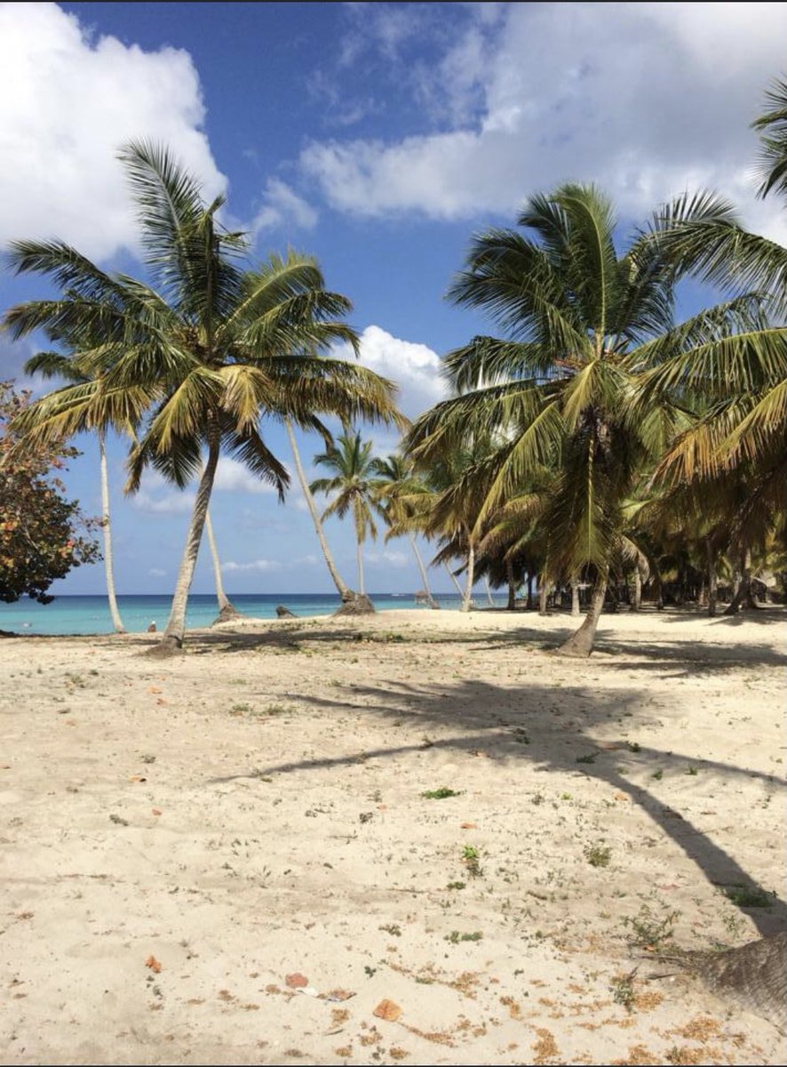 mskel15's tweet photo. @DominicanaDO Saona Island 💪🏼 https://t.co/BKpQuyLNu2
