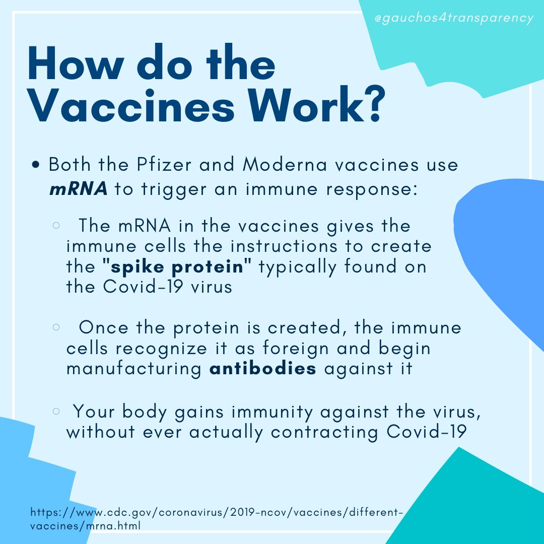 g4tucsb's tweet photo. As of January 29th, about 22.9 million people across the United States have already received at least one dose of a Covid-19 vaccine.🧪

Check out the graphics below to learn more about what vaccines are being offered, how they work, their side effects, and some debunked myths.⬇️ https://t.co/8kOHPBtMPI