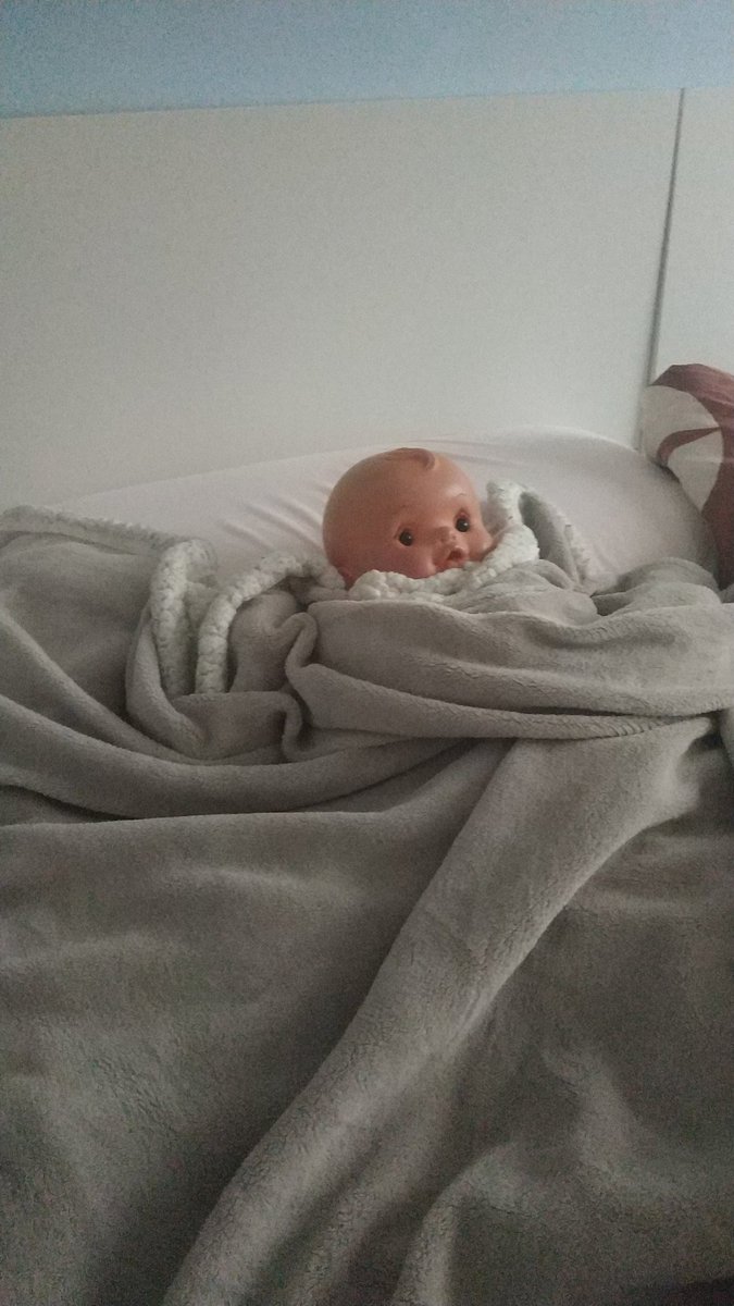 CocolinSanchez's tweet photo. Coco ha acabado el examen de colores coco descanso coco dormir. https://t.co/wEt1v2l7Mo