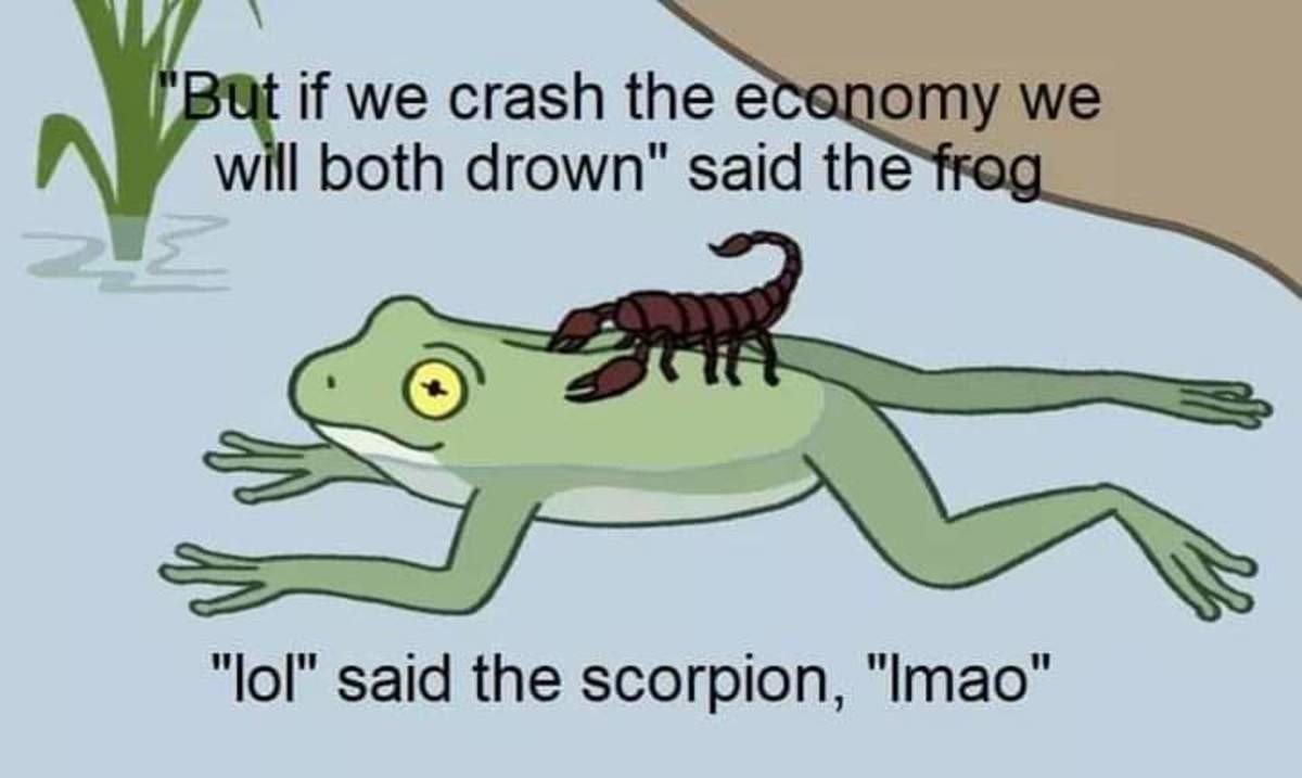 ElJettoJaguaro's tweet image. 