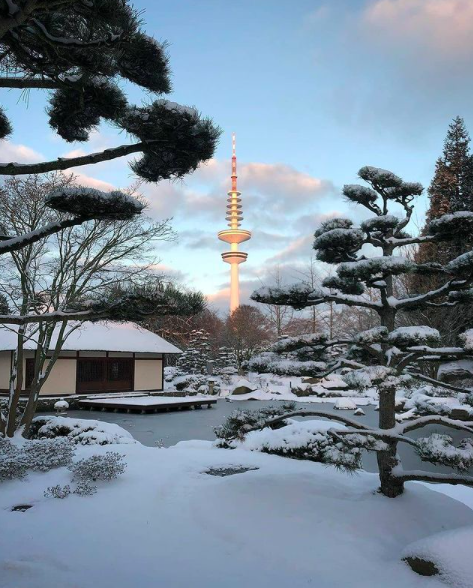 visitHamburg's tweet photo. #Snow in #Hamburg ❄️💙☃️
Photo: nadjarudi
#hamburgahoi #plantenunblomen #weekendvibes https://t.co/XdIQbh2j1x