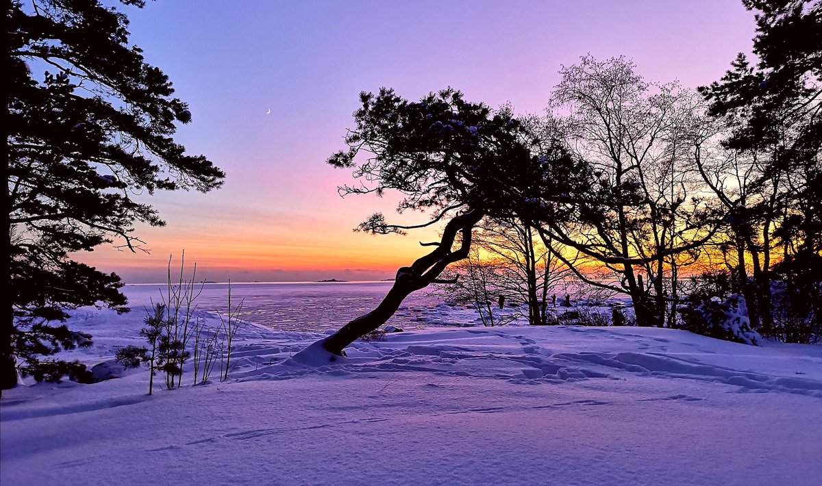 Laku_Lance's tweet image. Greetings from the snowy #Helsinki #Finland #photography #StormHour #travel #Photograph #weather #nature #sunset #photo #landscape #Winter #weekend #SaturdayMotivation