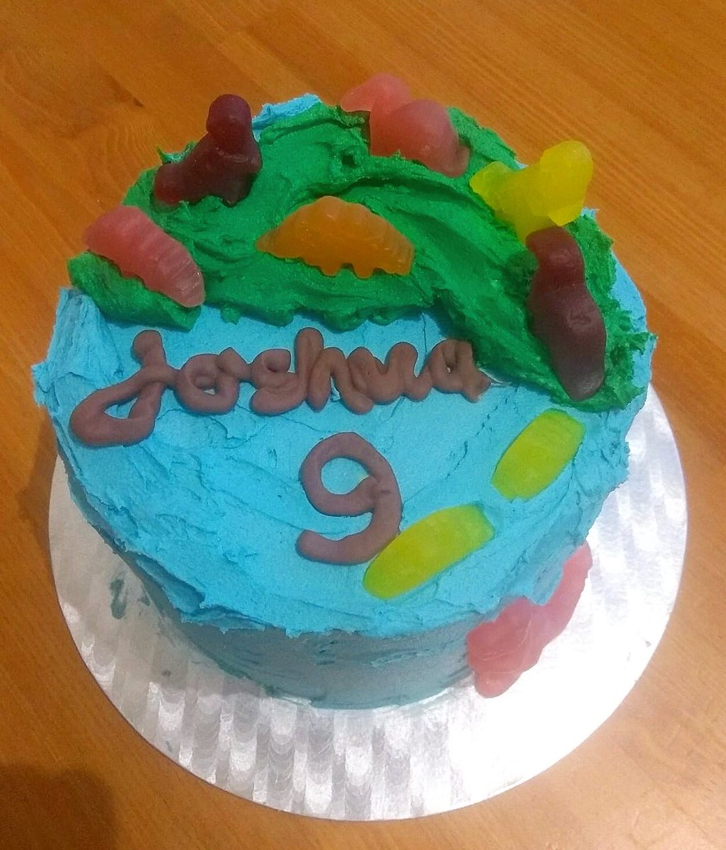 Happy 9th Birthday Joshua 🦕 🦖 a gorgeous dinosaur cake for a little dinosaur fan! Big thanks to Niamh for making this stunning kid friendly cake! Love the bright colors and the little jelly dinosaurs 😍#directprovision#dp#ireland#dinosaur#dinosaurcake#cork#cake#birthday