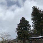 井上養鶏場のツイート画像