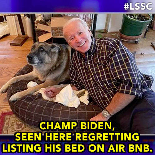 colbertlateshow's tweet photo. We can’t get enough of the First Dog! https://t.co/iEmvRJ3HHq
