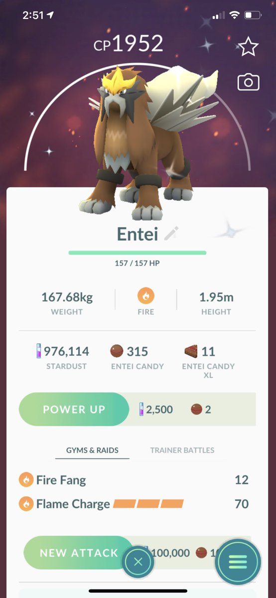 aytab91's tweet photo. Ending up getting my third shiny Entei ✨💪 still no hundo #pokemongo #shinyhunter #enteiraids https://t.co/uxdAg5v0rz