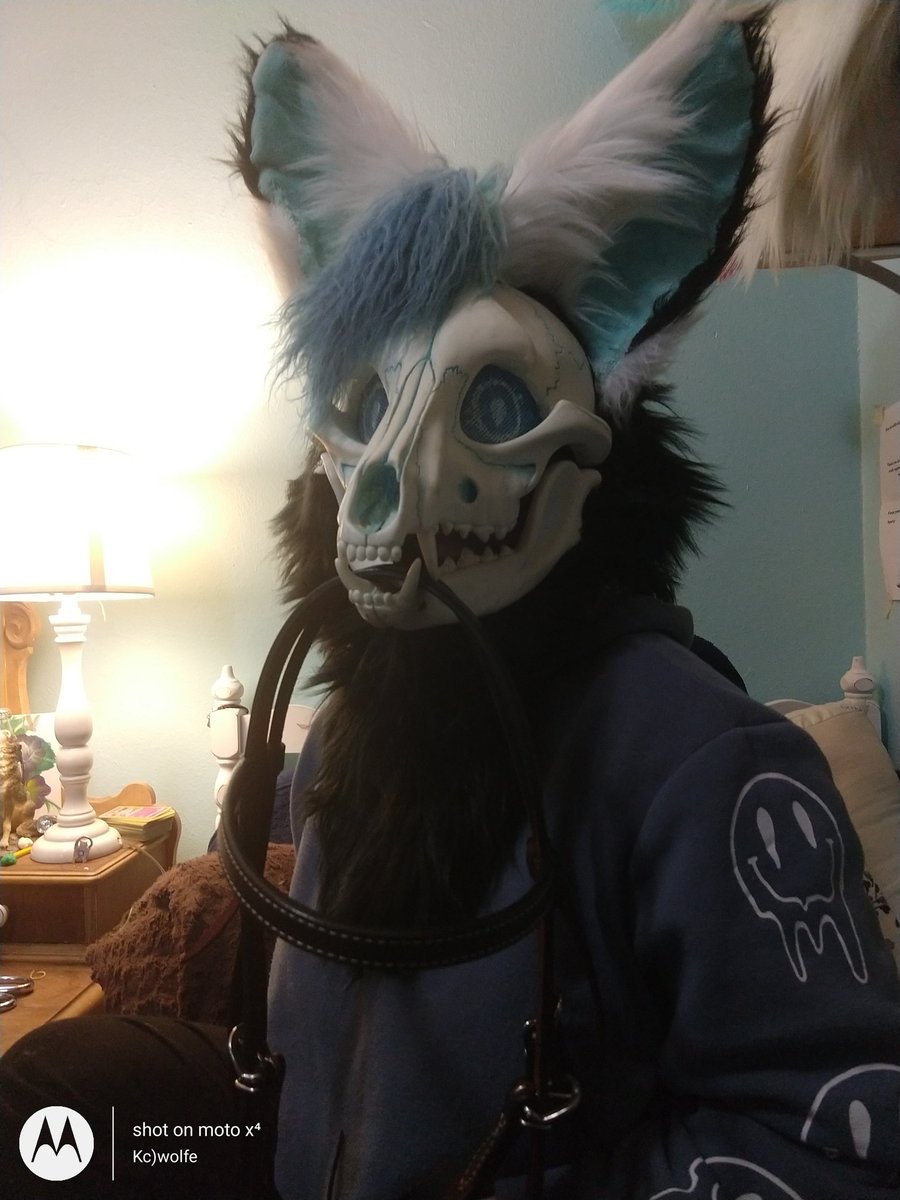 KWolfechild's tweet photo. Happy fursuit Friday,Take These random pictures of me fursuiting in Cider. And yes that is a horses briddle. Got it for Christmas for my horse https://t.co/CEZ8CqfEuf