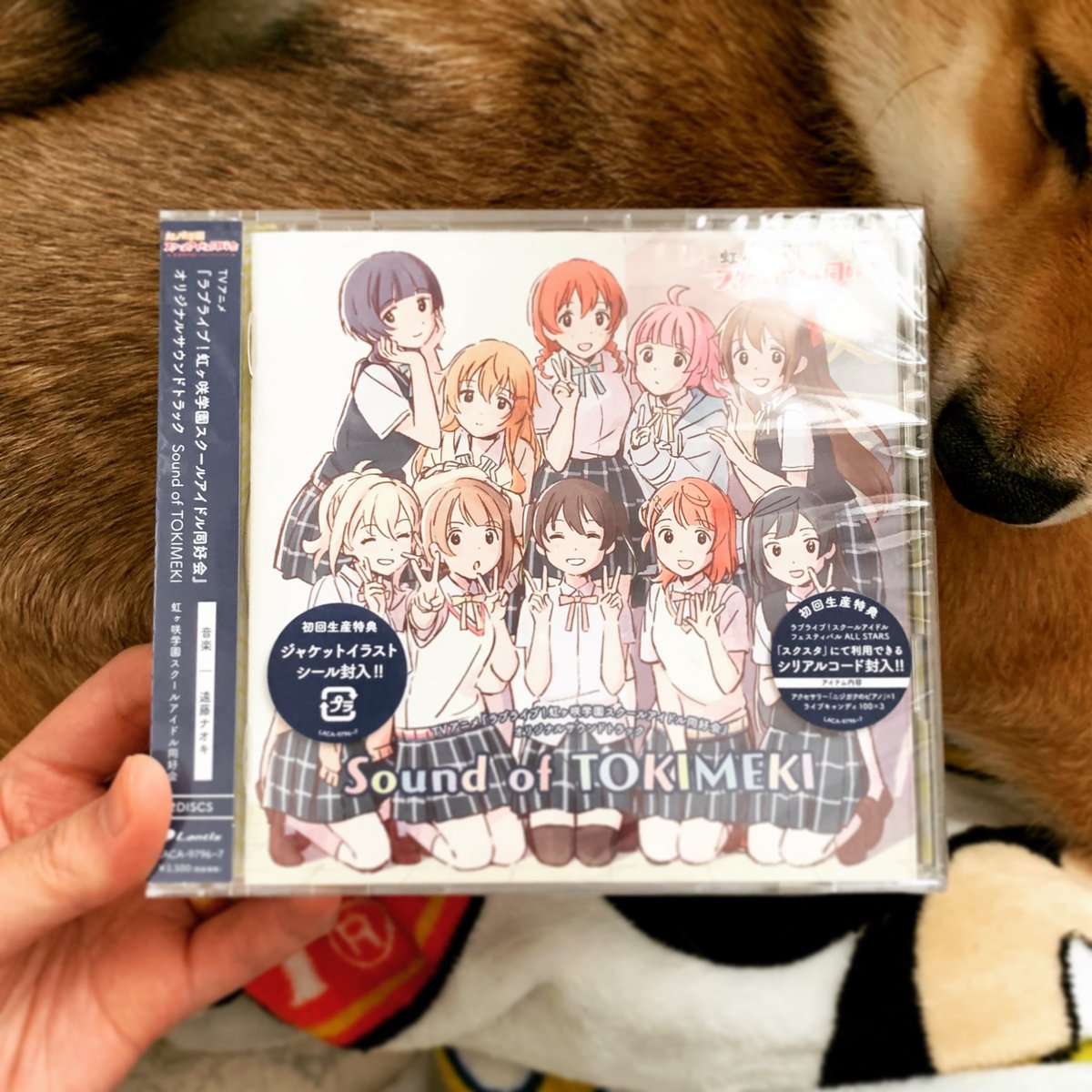 めばち على تويتر わーい