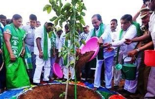  #HarithaHaram Telangana Ku Haritha Haaram, an initiative of  #TSGovt aimed to increase the tree cover in the State. The  #greencover in  #Telangana has increased by 3.67 % in the last 5 years. (7/n) @KTRTRS  @MPsantoshtrs