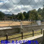 ツイートに含まれる画像