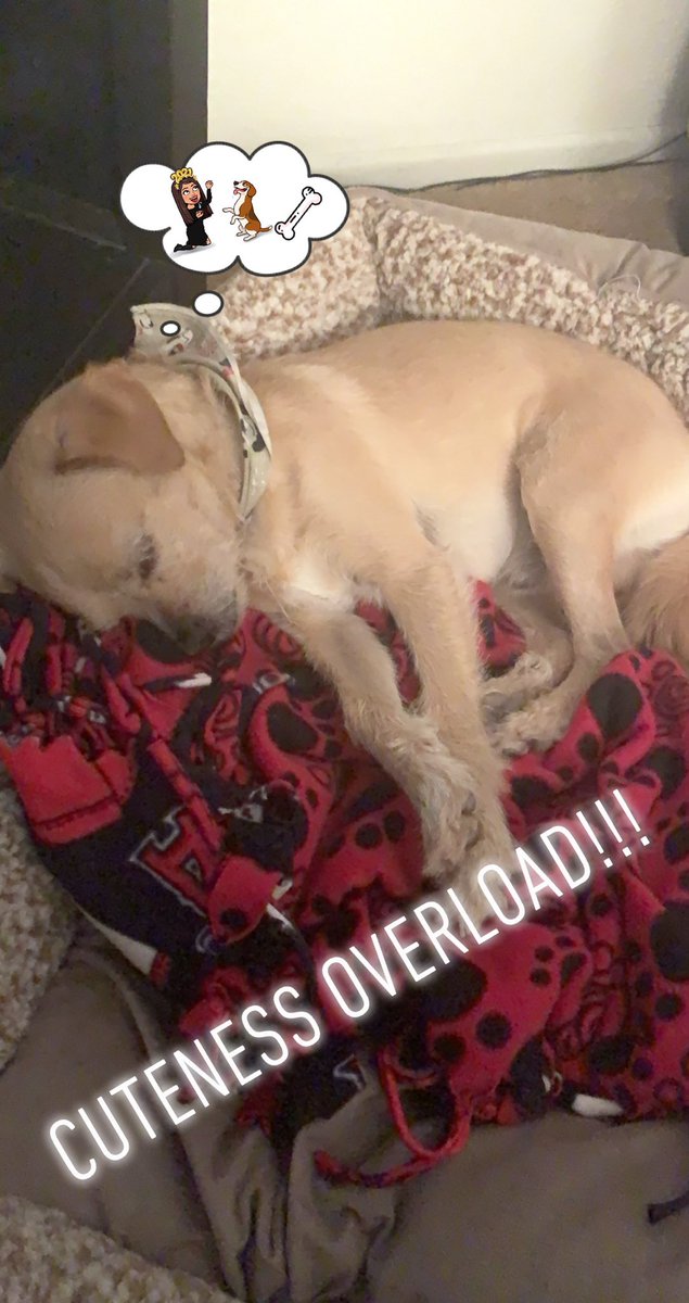 gonled's tweet photo. Just another Friday night in the world of Hålo... #gonled #halo #halosworld https://t.co/dEcpIyFmGf