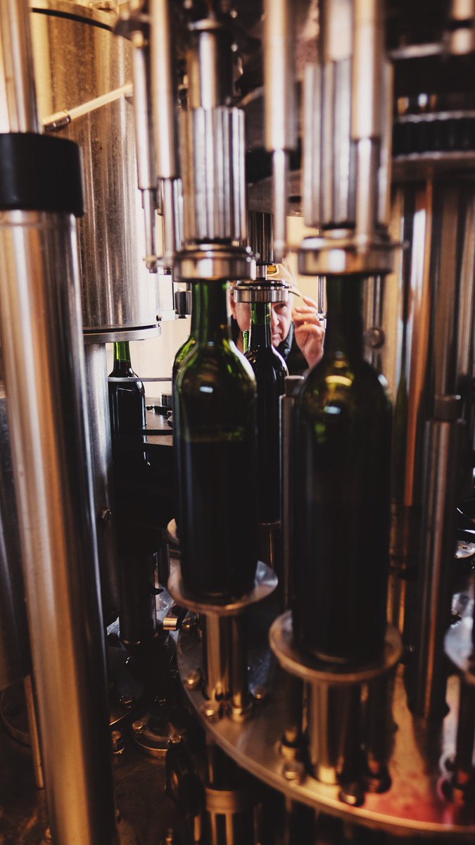DoubleGoldCab's tweet photo. Earlier this week, we bottled our 2018 Lone Star Cab! ⭐️ 

#txwine #texaswine #bottlingline #driftwoodestatewinery #drinklocal https://t.co/s7wigIid55