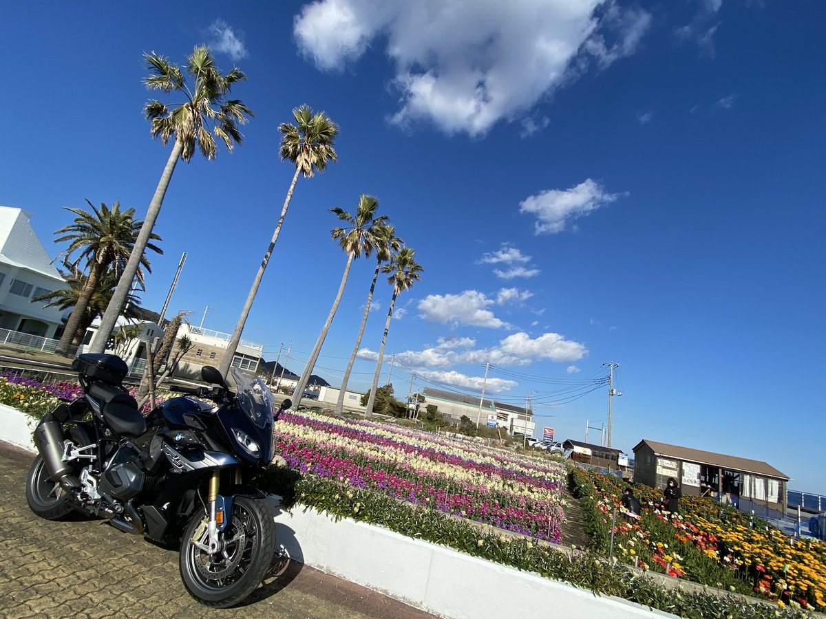 あつはる 本日もバイク日和 南房総は花摘みと海鮮丼の季節です 福のラジオ は帰宅してからのお楽しみ Bros1991 R1250rs 南房総ツーリング フラワーライン お食事所松大丸 あつはる 本日もバイク日和 南房総は花摘みと海鮮丼の季節です 福のラジオ は帰宅してからのお楽しみ Bros1991 R1250rs 南房総ツーリング フラワーライン お食事所松大丸