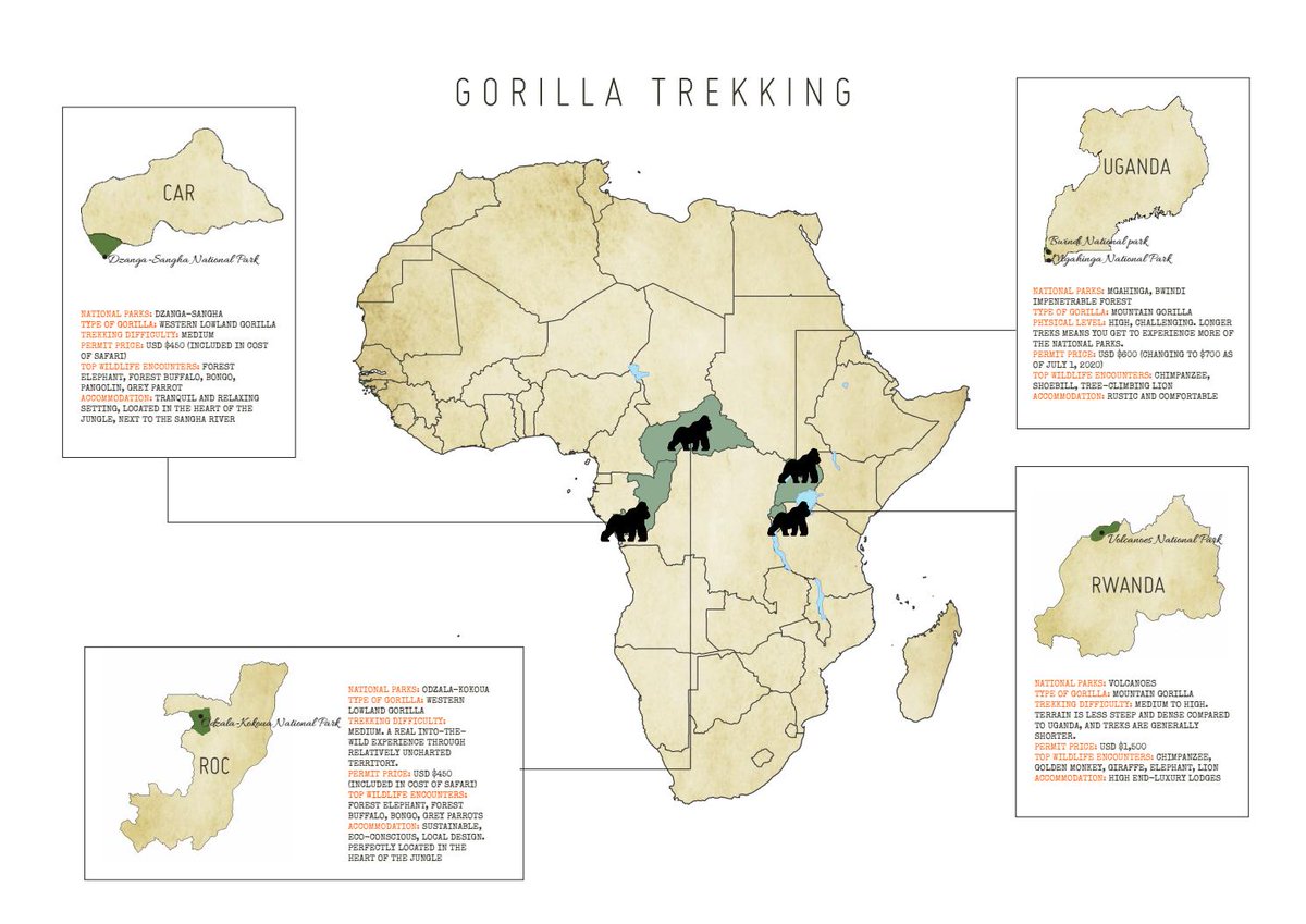 #Gorilla Tracking in #CentralAfricanRepublic (@Sanghalodge, Congo Conservation Company), #Congo-Brazzaville (#Ngaga #OdzalaDiscoveryCamps, Congo Conservation Co.), #Uganda (#BuhomaLodge @ExclusiveCamps @ #Bwindi Forest), #Rwanda (#BisateLodge @WeAreWilderness, @VolcanoesPark)