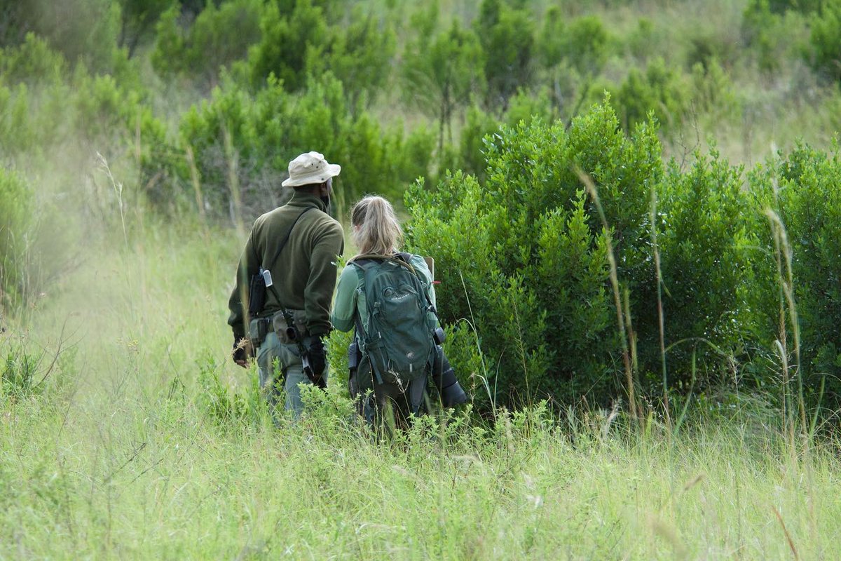 Good boy Masaka for my 100th diet transect 🦏🔍🌿💯

Looking forward to the final combination of all my datasets for my chapter on black rhino diet and feeding ecology, disentangling foraging choices and cues 🌿🧬🧪

#BlackRhinoEcology 
<a href="/blackrhino_ecol/">The Black Rhino Conservation Ecology Project</a>