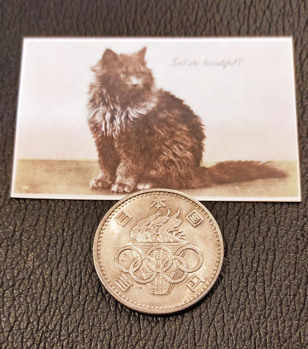 ミニお願い葉書のサイズがわからん と言われたので東京オリンピック記念百円置いてみました 縦33横51ミリ白いポスト投函口サイ 判 21 01 30 神楽坂ねこの郵便局というなまえのお店