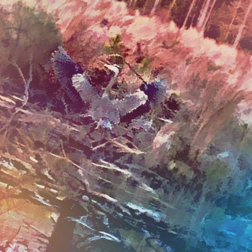 PramukAmy's tweet photo. Great blue heron. Rosier Unit #BTNP what makes your backyard awesome? https://t.co/LJeLODZbiU