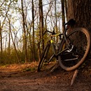 LE RAIDARD tweet media