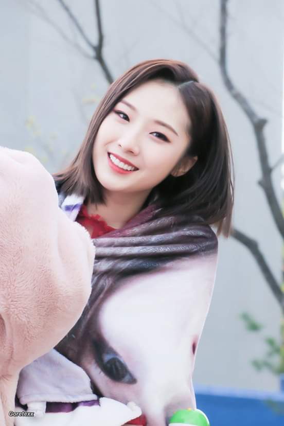 NancyMo40653065's tweet photo. @thetop_100 @loonatheworld I vote #haseul from #Loona

#thetop_100 #100mostbeautiful2020 @loonatheworld #orbit #artist #kpop https://t.co/yZ7LzyeL4Z