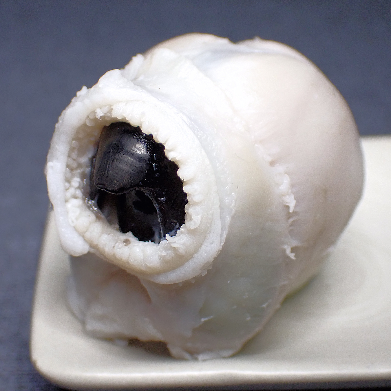 ぁぃの飼育ブログ Persona タコのカラストンビ これはミズダコの口 足などといっしょに塩ゆでされたもので 周囲の肉を食べます カラストンビの大きさもかなり大きい次第 歯舌にはトゲがあります 詳細記事 T Co Pq9b6uz0bt タコ