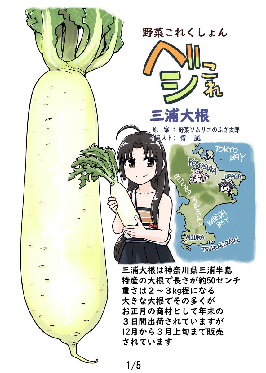 野菜これくしょん ベジこれ 第14弾 三浦大根編 1/2
今回も野菜ソムリエのふさ太郎さん 
@yukimifusa
 
との合作でお送りします。 