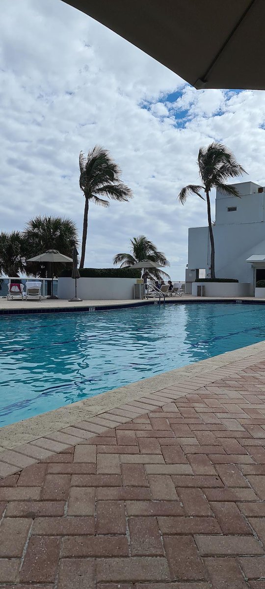 rvv2002's tweet photo. I'm a finalist in Trump International Beach Resort Miami’s photo contest.   Help me rally votes! https://t.co/SKDjYHH9td @TrumpMiami https://t.co/FpDNNblrd5