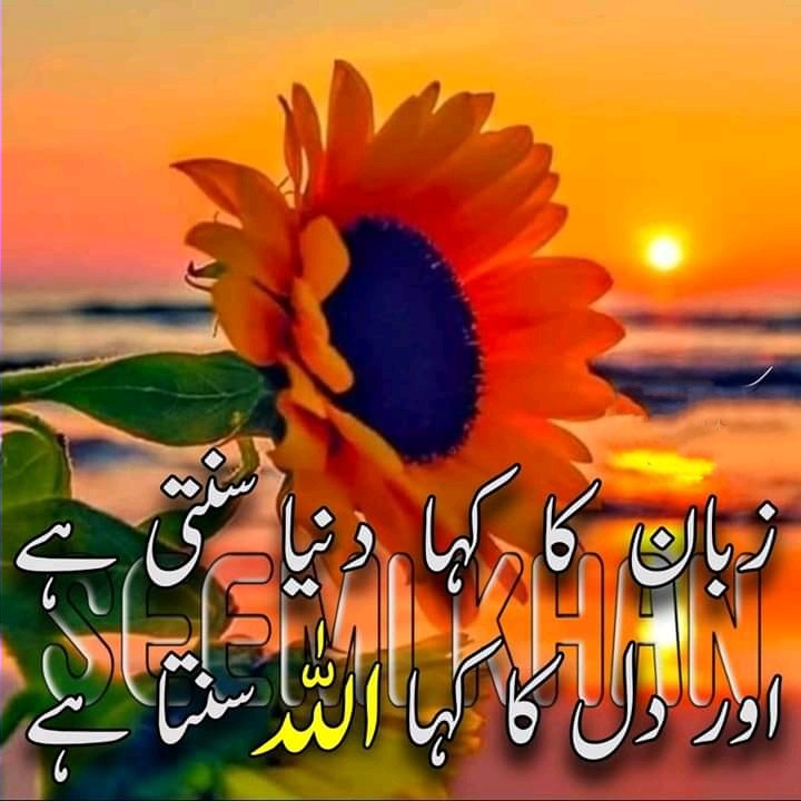 Urdu Poetry (@BestPoetryurdu) / Twitter Urdu Poetry (@BestPoetryurdu) / Twitter