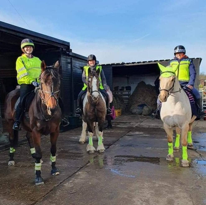 Blowing away cobwebs during lockdown with my four legged fluff (we're on the left)