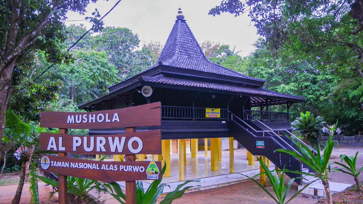 InformasiBWI's tweet photo. Apabila ingin camping di TN Alas Purwo kalian bisa mengambil lokasi Resort Pancur, ga usa kuatir disini ada kantor petugas dan dilengkapi toilet lengkap, di sisi jalan ada mushola besar yang bisa digunakan untuk beribadah 👍
. 
https://t.co/tdEKVQgR7k https://t.co/4RZuhdGSZA