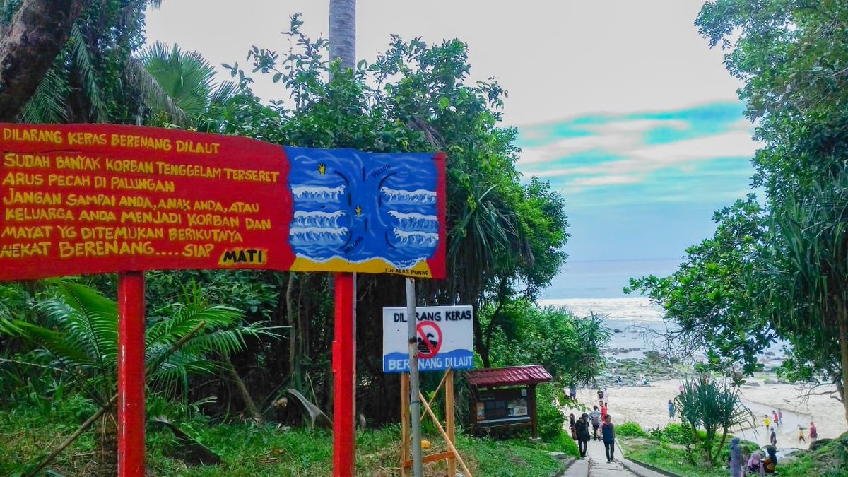 InformasiBWI's tweet photo. Apabila ingin camping di TN Alas Purwo kalian bisa mengambil lokasi Resort Pancur, ga usa kuatir disini ada kantor petugas dan dilengkapi toilet lengkap, di sisi jalan ada mushola besar yang bisa digunakan untuk beribadah 👍
. 
https://t.co/tdEKVQgR7k https://t.co/4RZuhdGSZA