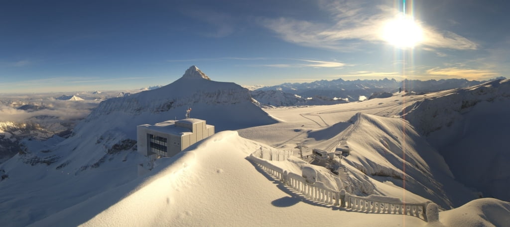 wePowder tweet media